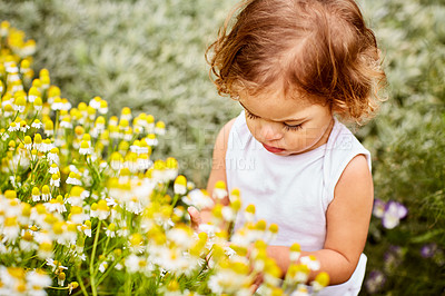 Buy stock photo Shot of a cute little girl looking at flowers in a garden