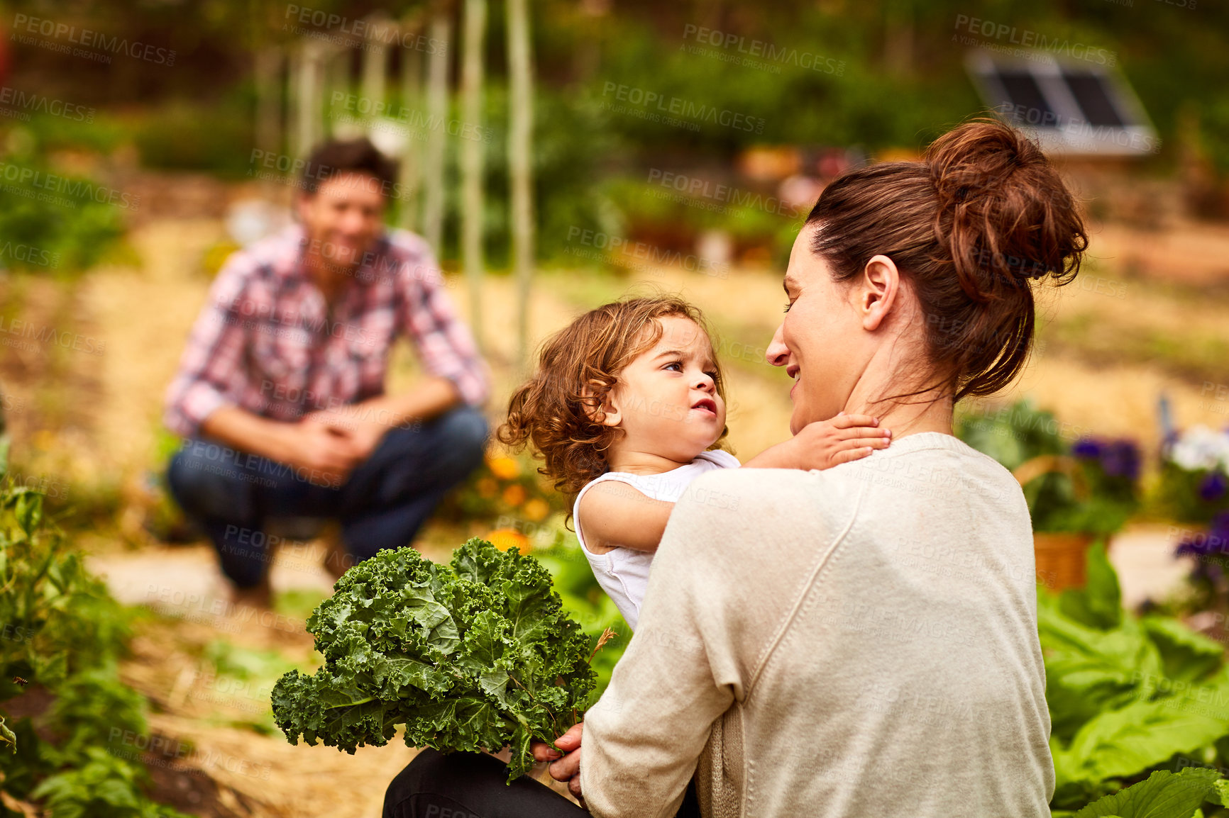 Buy stock photo Shot of a couple and their baby girl working in their organic garden