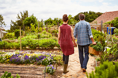 Buy stock photo Rearview shot of a of a couple walking through in their organic garden