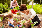 She's a great little gardener
