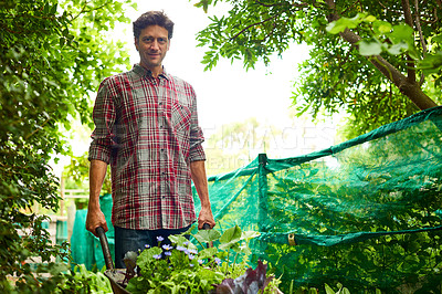 Buy stock photo Portrait of a man pushing a wheelbarrow through his organic garden