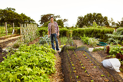 Buy stock photo Portrait of a mature man standing in his vegetable garden