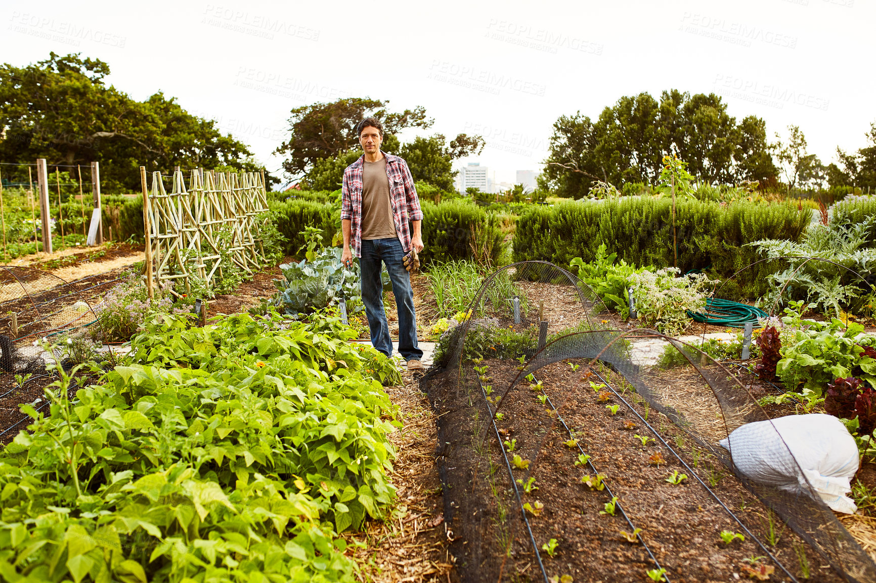 Buy stock photo Portrait of a mature man standing in his vegetable garden