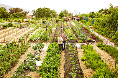 Buy stock photo Portrait of a smiling couple working in their organic garden