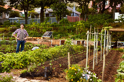 Buy stock photo Portrait of a mature man standing in his organic vegetable garden