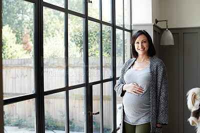 Buy stock photo Shot of an attractive and pregnant young woman standing in her home
