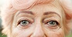 Eyesight, vision and face of senior woman with optometry, optical health or glaucoma test. Serious, ophthalmology and portrait of elderly person in retirement with visual exam or cataract removal.