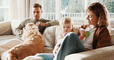 Buy stock photo Parents, child and dog with love on couch for care, play and smile for bonding or connection in home. Father, mother and baby in living room for pet animal, stroke and relax on sofa at family house