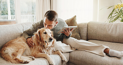 Buy stock photo Kiss, tablet and man with dog on sofa for bonding, break and connection for internet search. Home, happy and person with tech, social media and Labrador for weekend, love and affection for pet care