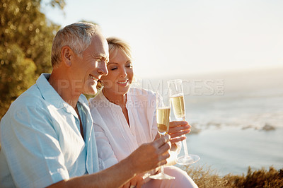 Buy stock photo Picnic, old couple and toast with champaign for love, bonding together and outdoor in healthy relationship. Nature, senior man and woman with smile for wine, marriage and care on weekend holiday