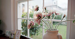 Vase, window and flowers in home for bloom, decoration or floral growth in living room. Present, gift and bouquet of pink poppies in pottery for natural blossom in house lounge for interior design