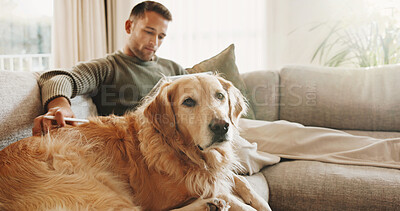 Buy stock photo Relax, calm and man with dog on sofa in home for peaceful weekend together with pet adoption. Companion, puppy and person with animal in living room for bonding, connection or care in apartment.