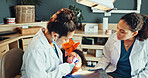 Dental, exam or patient with dentist for cleaning, cavity or gum disease in consultation for health. Orthodontist, assistant and women for teeth whitening, oral care or treatment for mouth procedure