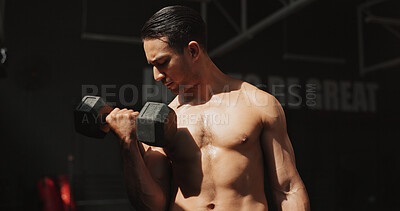 Buy stock photo Exercise, gym and bodybuilder man with dumbbells or weights for training, muscle growth and self care. Iron, workout and person with health club membership for fitness, strong arms and wellness