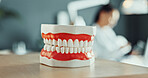 Teeth, model or mold in dentist office for oral hygiene demonstration, medical procedure or wellness. Dentistry, tooth prototype or veneers for orthodontist equipment, healthcare or dental treatment.