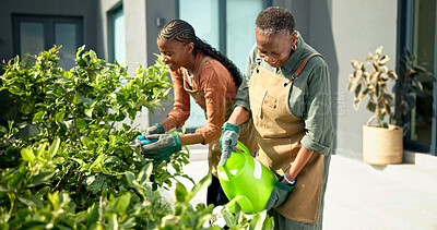 Buy stock photo Senior, mom and woman watering plants for natural growth, healthy development and bonding hobby. Black family, adult daughter and happy pensioner with gardening, hydration and pruning in home garden
