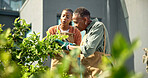 Gardening, help and woman with senior mom for hobby, planting and maintenance in backyard together. Home, family and African mother with daughter for bonding, relationship and plant growth outdoor