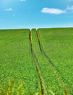 Buy stock photo Farmland, crops and growth in countryside, sustainability and scenery of landscape, rural and space. Outdoor, sky and pasture in environment, eco friendly and field in nature or plants in Denmark