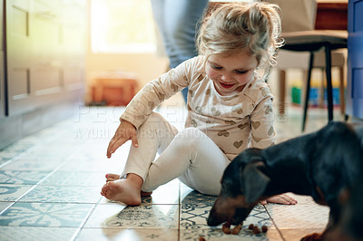 Buy stock photo Dog, eating and child on floor in home for playing, bonding or having fun with pet for treat. Happy, companionship and girl kid with puppy for animal care together in kitchen for meal in house.