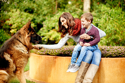 Buy stock photo Park, paw and mom with child, dog and nature for training, care and outdoors for pet bonding. Happy family, animal and mother with boy, German Shepherd and trust together for weekend walk with love