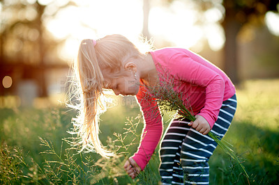 Buy stock photo Nature, park and child with grass outdoor for weekend, holiday and vacation in countryside. Summer, freedom and toddler with field, adventure and relax for childhood with peace and sunshine garden