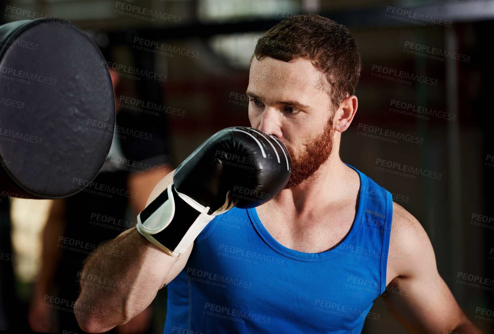 Buy stock photo Boxing, man and training with pad at gym for fight workout, sparring or practice technique. Athlete, fitness or professional boxer in health club for punch conditioning, sports performance or stamina