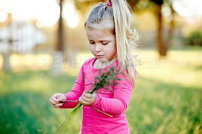Buy stock photo Nature, park and child with plant outdoor for weekend, holiday and vacation in countryside. Summer, freedom and toddler with field, curious and relax for childhood with peace and sunshine garden