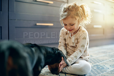 Buy stock photo Playing, girl child and dog in home for bonding together, growth and connection with companion. Happiness, toddler and animal care in house with empathy, loyalty and love for childhood development.