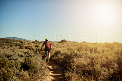 Buy stock photo Fitness, nature and back of cyclist with workout, challenge or cardio exercise for endurance. Sports, outdoor and athlete riding mountain bike for cycling race, competition or triathlon training.
