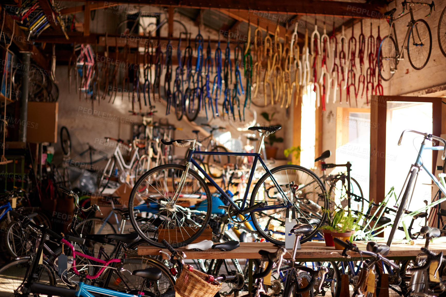 Buy stock photo Small business, choice or bicycles in repair workshop, retail store for fixing, maintenance or upgrade. Startup, warehouse or garage with cycling options for mechanical engineering or transportation