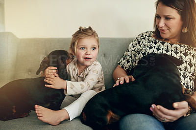 Buy stock photo Smile, dogs and mother with daughter on sofa for bonding, support and animal care. Happiness, loyalty and pet owner with woman and child with puppy in family house for trust, security and love