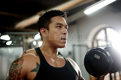 Buy stock photo Gym, athlete and man with dumbbell, exercise or bodybuilder with muscle, fitness or training routine. Power, bodybuilding and person with equipment for strength, health and workout for wellness