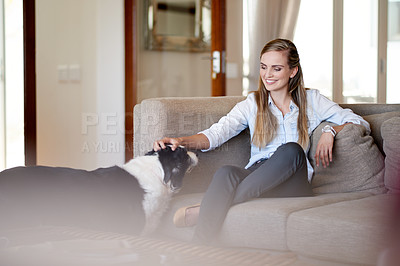 Buy stock photo Dog, scratching and woman on sofa in living room of home for animal adoption, bonding or trust. Happy, love or relax with foster and owner in apartment together for companionship or loyalty
