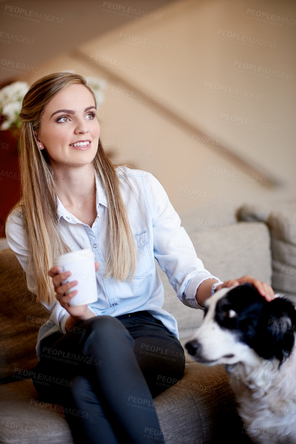 Buy stock photo Dog, thinking and woman on sofa in living room of home for animal adoption, bonding or trust. Happy, relax or vision with foster pet and owner in apartment together for companionship or loyalty