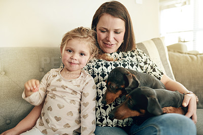 Buy stock photo Love, dogs and mother with daughter on sofa for bonding, support and animal care. Happiness, loyalty and pet owner with woman and child with puppy in family house for trust, security and smile