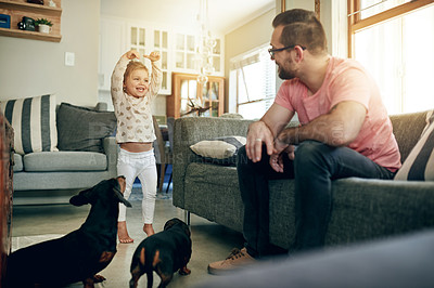 Buy stock photo Dogs, father and girl child in living room of home together for bonding, growth or learning. Animal care, happy or love with daughter and single parent man on sofa in apartment for pet safety