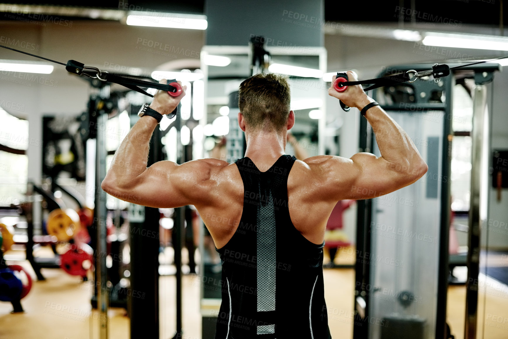 Buy stock photo Machine, training and man with cable curl for bicep exercise, strength workout or muscle in gym. Equipment, weightlifting and strong bodybuilder with fitness challenge, power and sweat on back