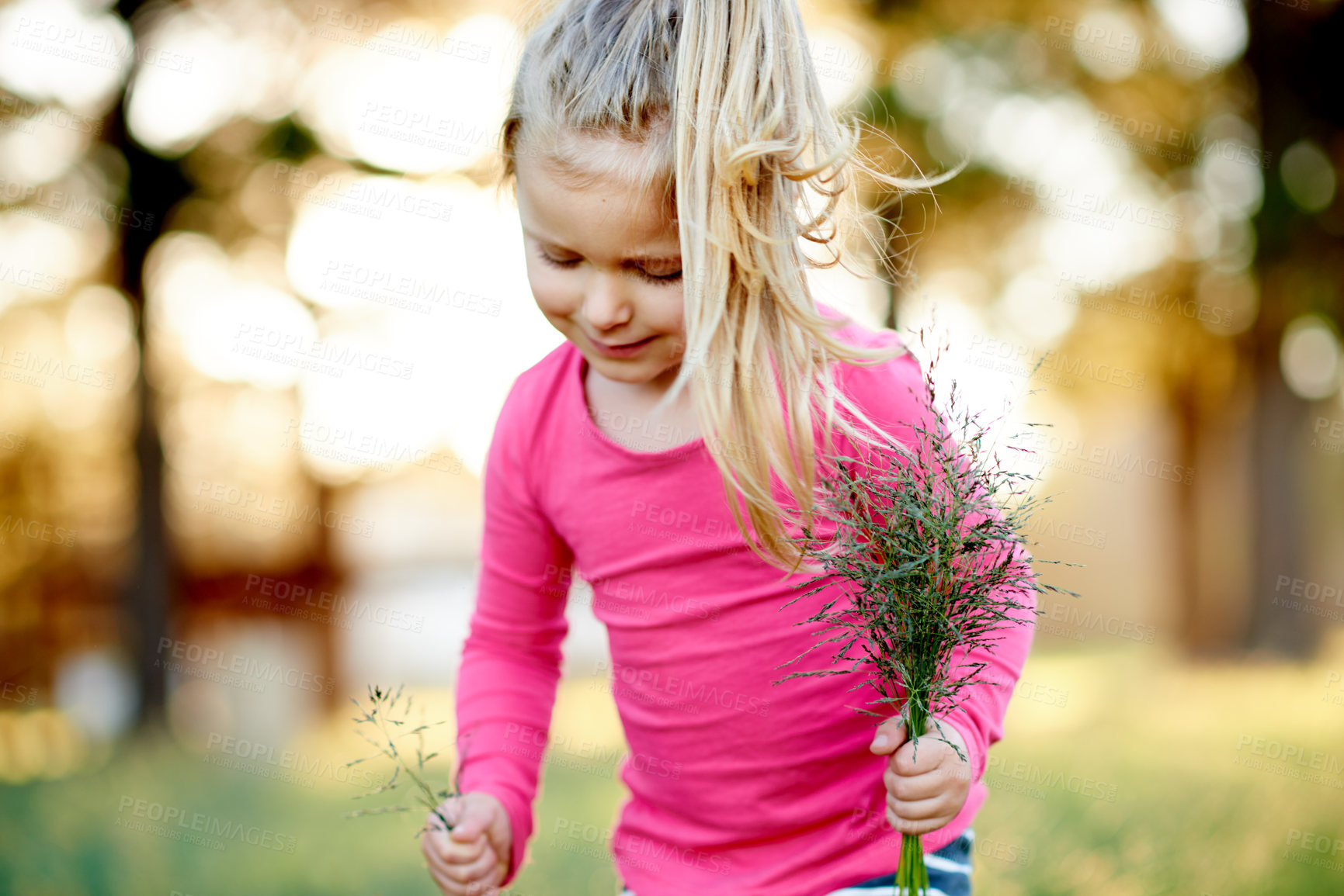 Buy stock photo Park, child and pick grass to explore, play and development in environment on holiday. Smile, girl and kid gather plants in nature for collection, learning or growth on spring vacation with bokeh