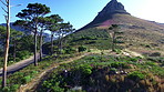 Hiking the Lion's Head