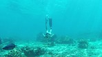 Woman swimming in the ocean