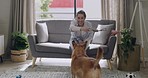 A woman and dog play together indoors. A happy young female sitting on a couch with her puppy jumping. A dog biting rope inside a house. An excited woman training her dog at home. 