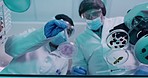 Below of two scientists using syringe and petri dish in testing lab. Micro biologist examine purple liquid bacteria in glass mixture to invent a vaccine cure for virus at innovative research hospital