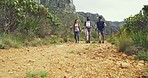 Active friends hiking on rocky mountain with poles and copyspace. Diverse group of friends trekking in nature with bushes. Hiking club members talking and exploring outdoor, scenic view and fresh air