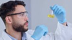 Serious male scientist analyzes liquid in a beaker in a laboratory. Professional biochemist testing yellow fluid while conducting an experiment to find a cure for a virus in a medical research lab