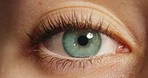 Closeup of a human light green eye with a beautiful and natural iris color with long eyelashes. Macro zoom of an awake woman with optical vision and a moving or dilating pupil for eyecare awareness.