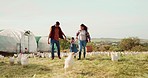 Family, chicken farm and a couple with child with birds and collecting eggs in basket. Man, woman and kid with chickens, sustainability for happy countryside farmer in nature farming food and animals