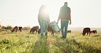 Farm, agriculture and cattle with a man and woman at work together as a team in the dairy farming industry. Teamwork, milk or sustainability with a male and female farmer working on a field with cows