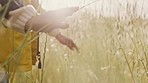 Freedom, nature and hands of woman in countryside for peace, relax and happy in wheat field. Smile, inspiration and holiday with girl feeling in meadow for spring, sustainability and environment