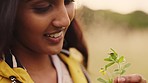 Smile, field and woman with ladybug on plant, sustainability and gratitude for nature and environment. Agriculture, climate change and happy woman with leaf in countryside on eco friendly adventure.