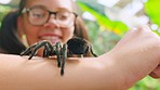 Animals, nature and girl with spider on arm for education, learning and fun on school trip to the zoo. Happiness, wildlife and closeup of tarantula on child excited for danger, creepy and exotic pet